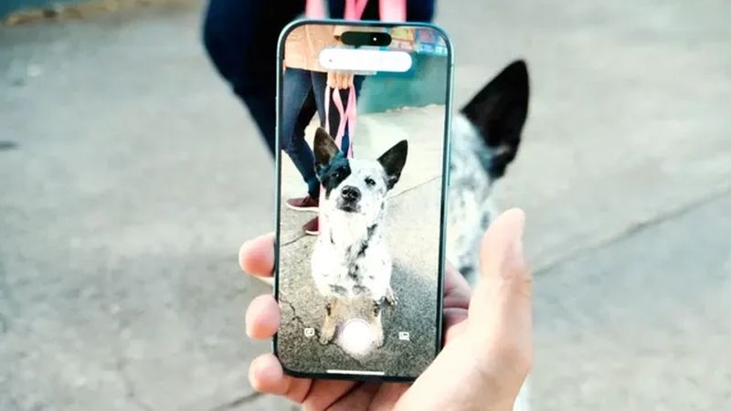 Семейство Apple iPhone 16 получит возможность вызова поиска по фотографии одной кнопкой