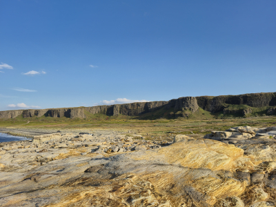 Обзор смартфона Samsung Galaxy S24 FE: искусственный интеллект не только на флагманах