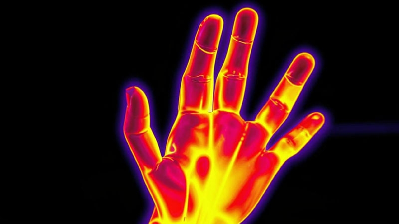 Учёные с помощью дерева нашли способ добывать энергию из тепла тела человека