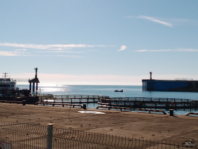 Обзор TECNO SPARK Go 1: бюджетный смартфон с парой сюрпризов