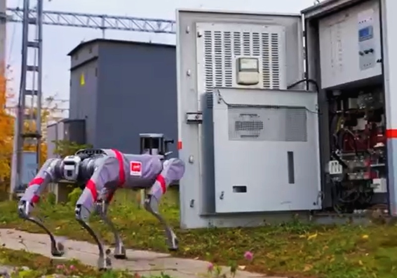 В &laquo;РЖД&raquo; протестировали применение стаи робопсов на железнодорожной инфраструктуре