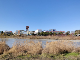 Обзор смартфона HUAWEI nova 13 Pro: красивым быть не запретишь