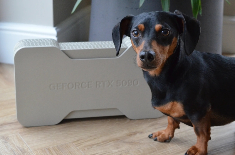 Опубликованы распаковки GeForce RTX 5090 Founders Edition — компактная видеокарта в экологичной коробке