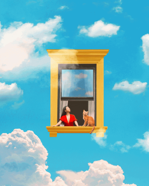 Adobe выпустила полнофункциональный Photoshop для iPhone с платной «Волшебной палочкой»