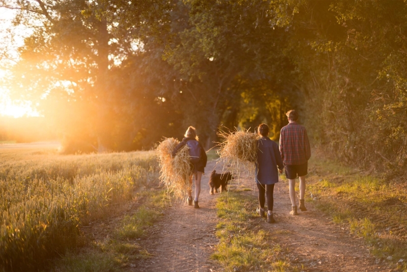 Leica перевыпустила представленный в 1959 году объектив Summilux 50 мм f/1.4 за $3895