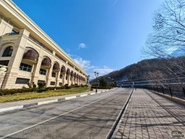 Обзор смартфона HONOR Magic7 Pro: попытка угнаться за репортажными фотокамерами