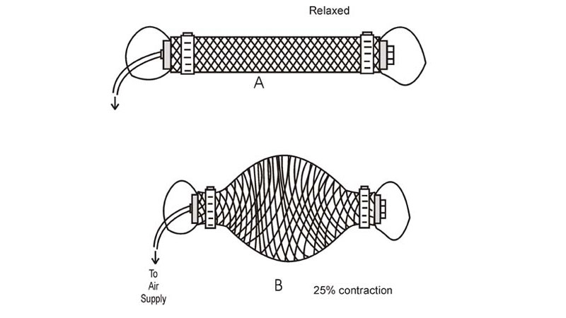 &laquo;Отличная работа &mdash; больше так не делайте&raquo;: анатомически точный андроид подрыгал конечностями и покрутил головой&nbsp;на видео