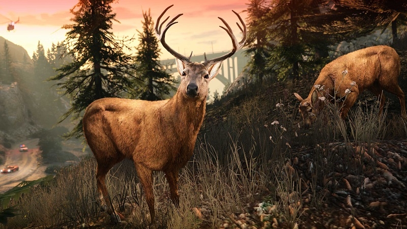 Rockstar прокачает GTA V на ПК до версии для нового поколения спустя три года после консолей — системные требования тоже вырастут