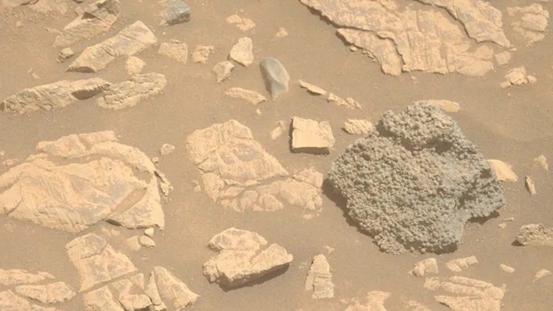 Марсоход Perseverance нашёл странный пупырчатый камень на Холме ведьминого орешника