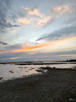 Обзор realme 14 Pro+: смартфон-хамелеон, который любит мороз