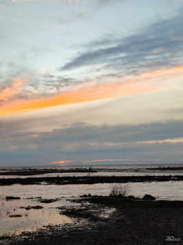 Обзор realme 14 Pro+: смартфон-хамелеон, который любит мороз