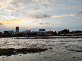 Обзор realme 14 Pro+: смартфон-хамелеон, который любит мороз