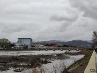 Обзор realme 14 Pro+: смартфон-хамелеон, который любит мороз