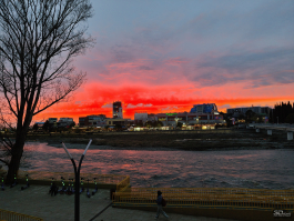 Обзор realme 14 Pro+: смартфон-хамелеон, который любит мороз