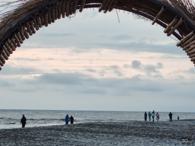 Обзор realme 14 Pro+: смартфон-хамелеон, который любит мороз