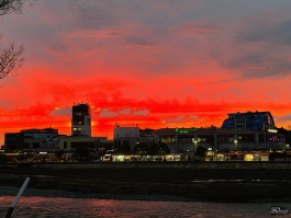 Обзор realme 14 Pro+: смартфон-хамелеон, который любит мороз