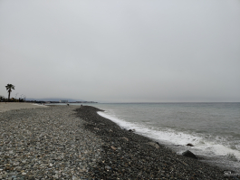 Обзор realme 14 Pro+: смартфон-хамелеон, который любит мороз