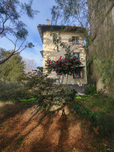 Обзор смартфона HONOR Magic 7: зачем платить больше?