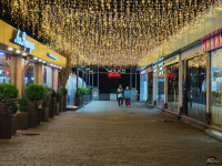 Обзор смартфона HONOR Magic 7: зачем платить больше?