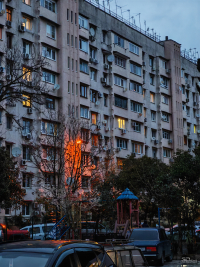 Обзор смартфона HONOR Magic 7: зачем платить больше?