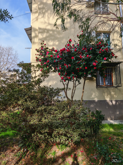 Обзор смартфона HONOR Magic 7: зачем платить больше?