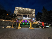 Обзор смартфона HONOR Magic 7: зачем платить больше?