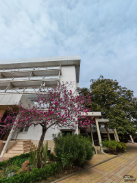 Обзор смартфона HONOR Magic 7: зачем платить больше?