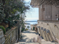 Обзор смартфона HONOR Magic 7: зачем платить больше?