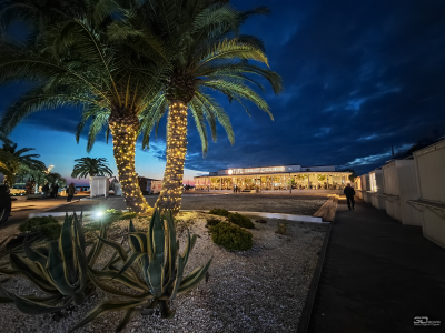 Обзор смартфона HONOR Magic 7: зачем платить больше?