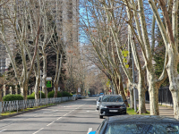 Обзор смартфона HONOR Magic 7: зачем платить больше?