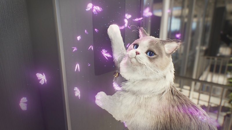 Создателей Inzoi поймали на использовании Denuvo — самая желанная игра в Steam выйдет без скандальной защиты