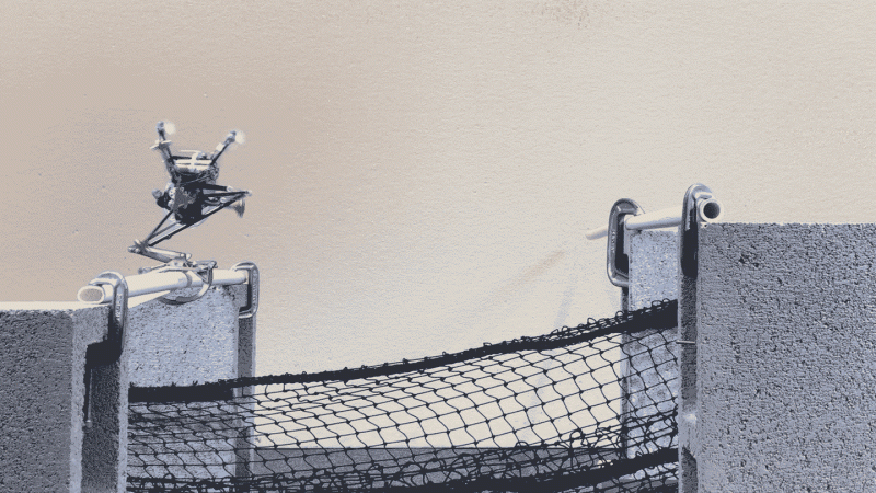 В США создали робота, вдохновлённого белкой &mdash; он может прыгать с ветки на ветку