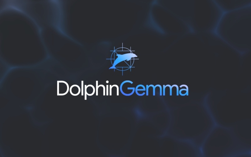 Google создала ИИ-модель DolphinGemma для общения с дельфинами