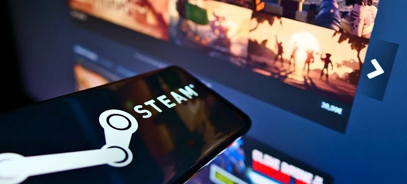 Госдума: борьба Роскомнадзора с хостерами-нарушителями не обернётся блокировкой Steam в России