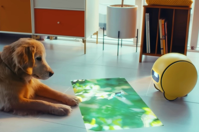 Мяч с мозгами: Samsung и Google объединились для выпуска домашнего робота Ballie с ИИ Gemini и проектором