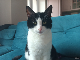 Обзор планшета DIGMA PRO Empire: успешная попытка усидеть на двух стульях