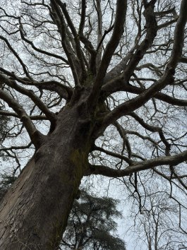 Обзор смартфона Apple iPhone 16e: я экономить буду!