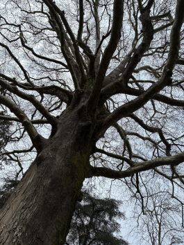 Обзор смартфона Apple iPhone 16e: я экономить буду!