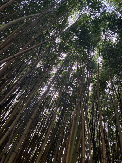 Обзор смартфона Apple iPhone 16e: я экономить буду!