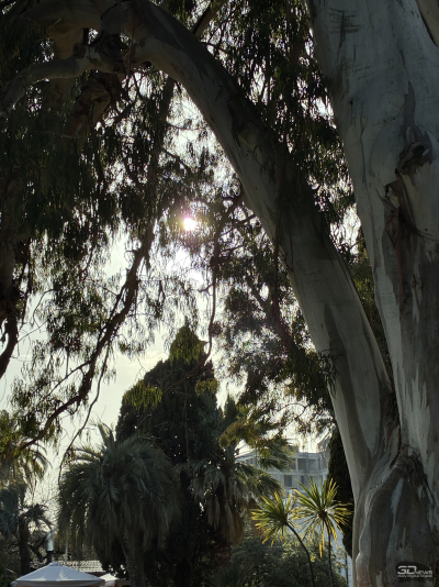 Обзор смартфона Apple iPhone 16e: я экономить буду!