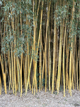 Обзор смартфона Apple iPhone 16e: я экономить буду!