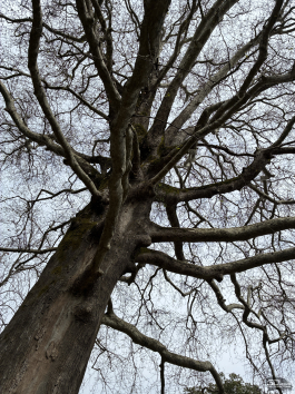 Обзор смартфона Apple iPhone 16e: я экономить буду!