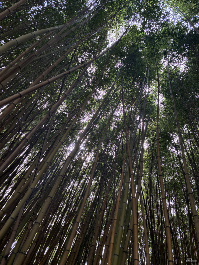 Обзор смартфона Apple iPhone 16e: я экономить буду!