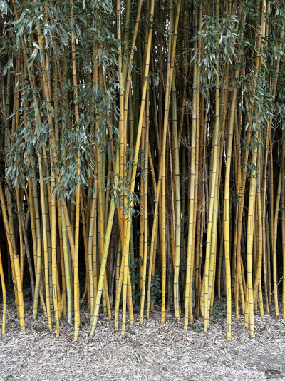 Обзор смартфона Apple iPhone 16e: я экономить буду!