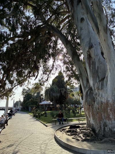 Обзор смартфона Apple iPhone 16e: я экономить буду!