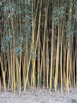 Обзор смартфона Apple iPhone 16e: я экономить буду!