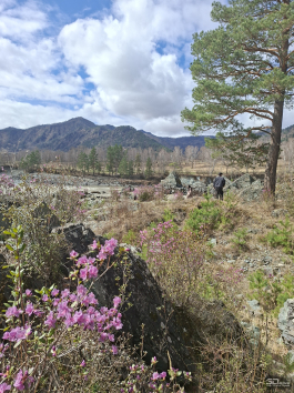 Обзор смартфона Samsung Galaxy A56: игра в классики