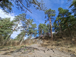 Обзор смартфона Samsung Galaxy A56: игра в классики