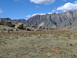 Обзор смартфона Samsung Galaxy A56: игра в классики