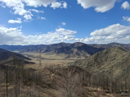 Обзор смартфона Samsung Galaxy A56: игра в классики